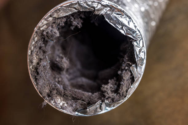 Best Air Duct Inspection  in Port Edwards, WI